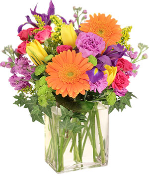 Celebrate Today! Bouquet in Farmington, ME | RIVERSIDE GREENHOUSE & FLORIST
